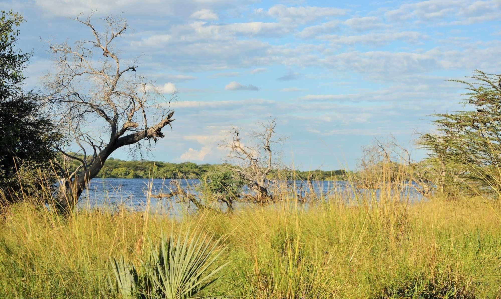 Thebe River Safaris كاسان المظهر الخارجي الصورة